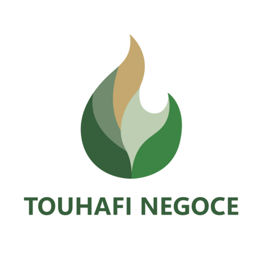 Logo Touhafi Negoce