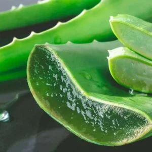 Huile aromatique aloe vera absolu